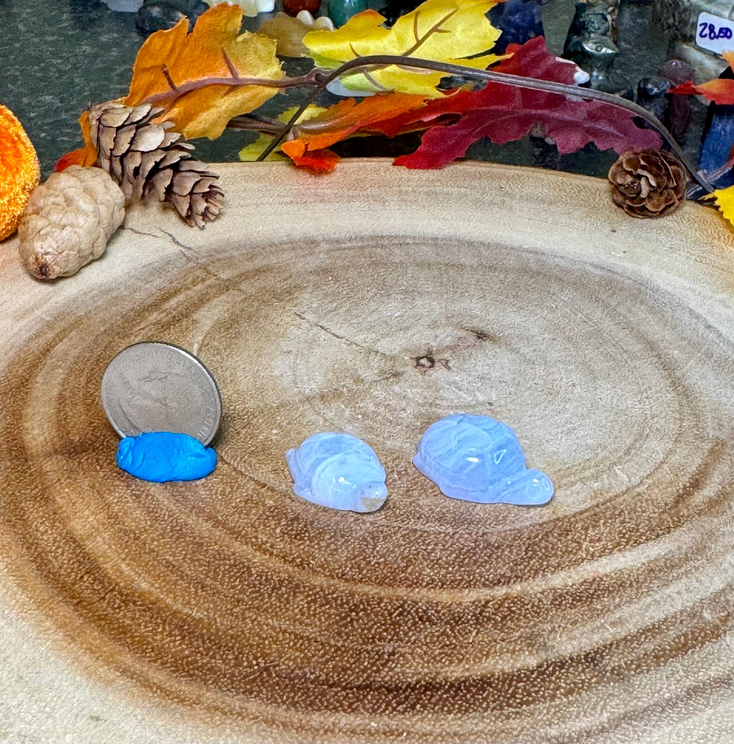 Blue Lace Agate Turtles