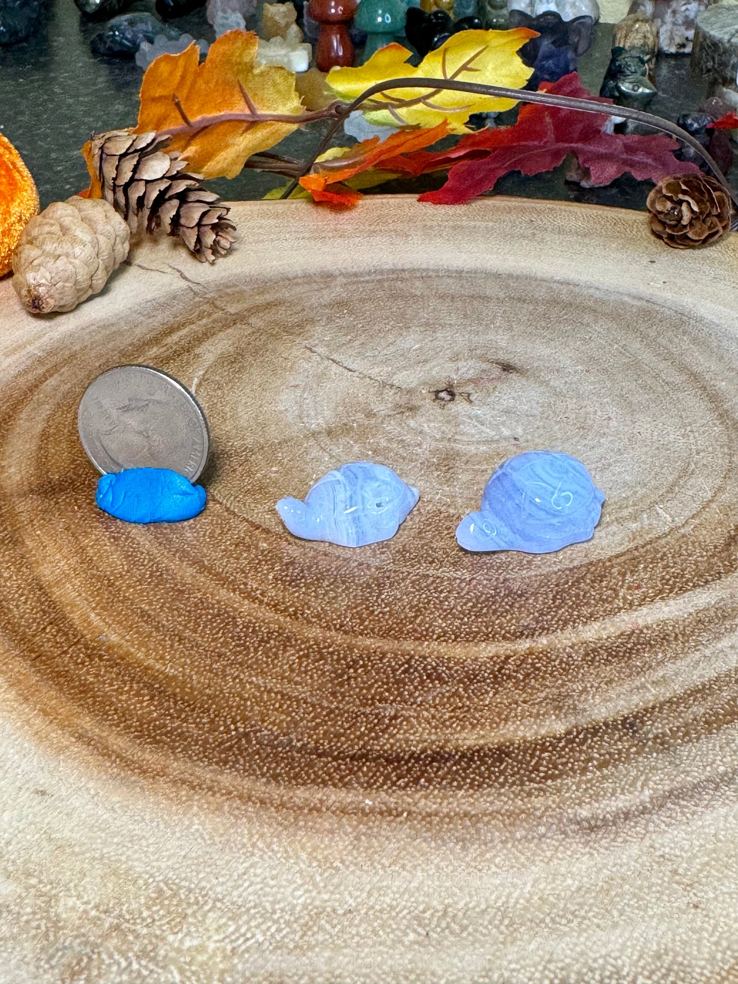 Blue Lace Agate Turtles