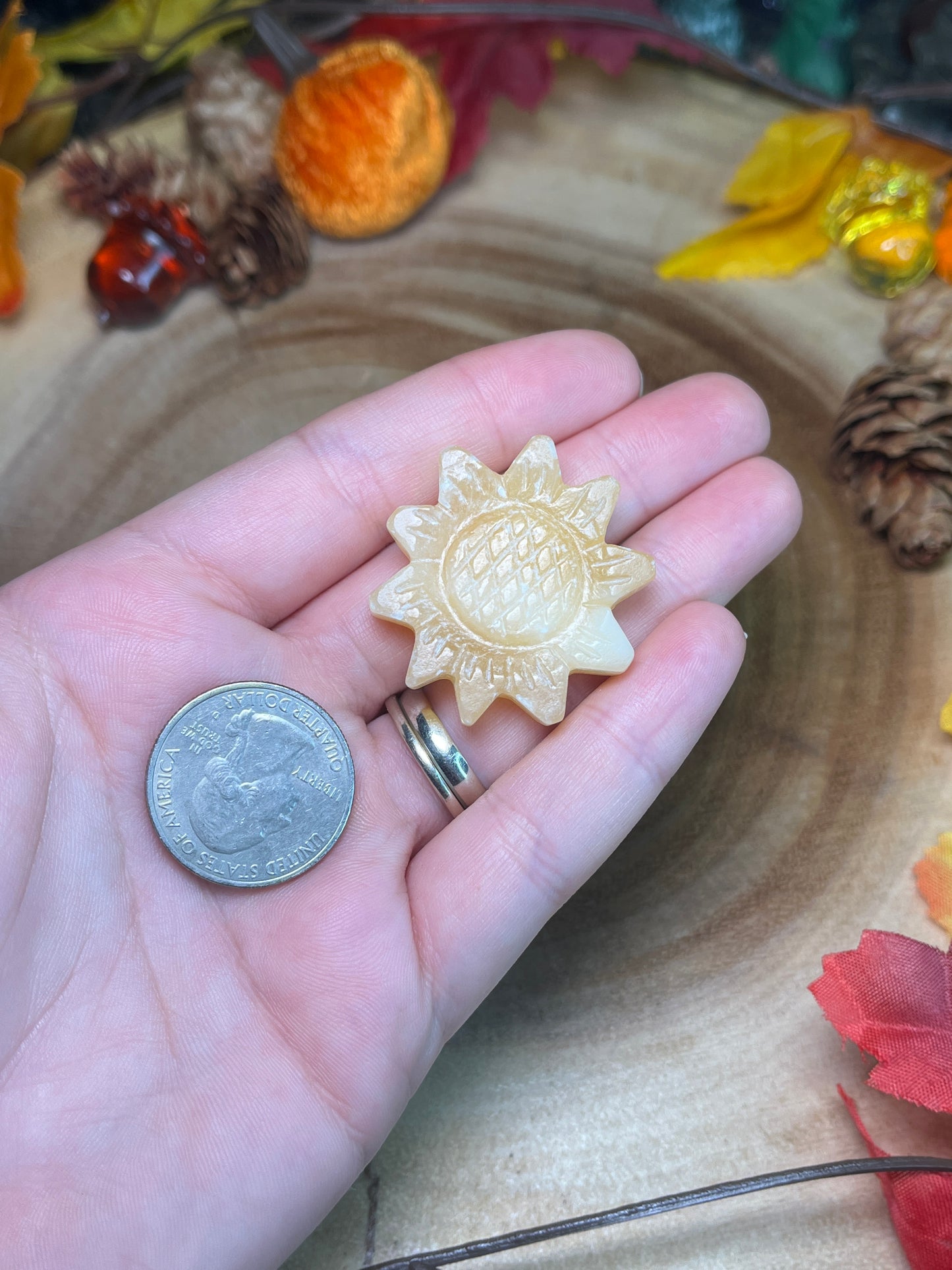 Banded Orange Calcite Sunflower