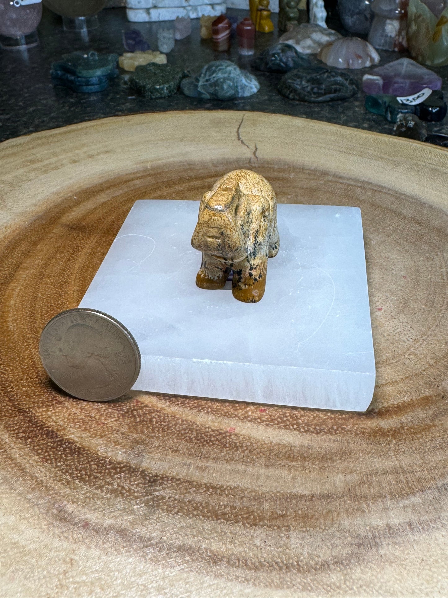 Dendritic Jasper Elephant