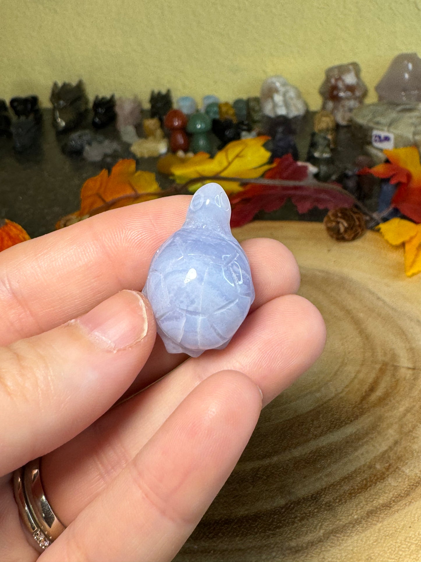Blue Lace Agate Turtles