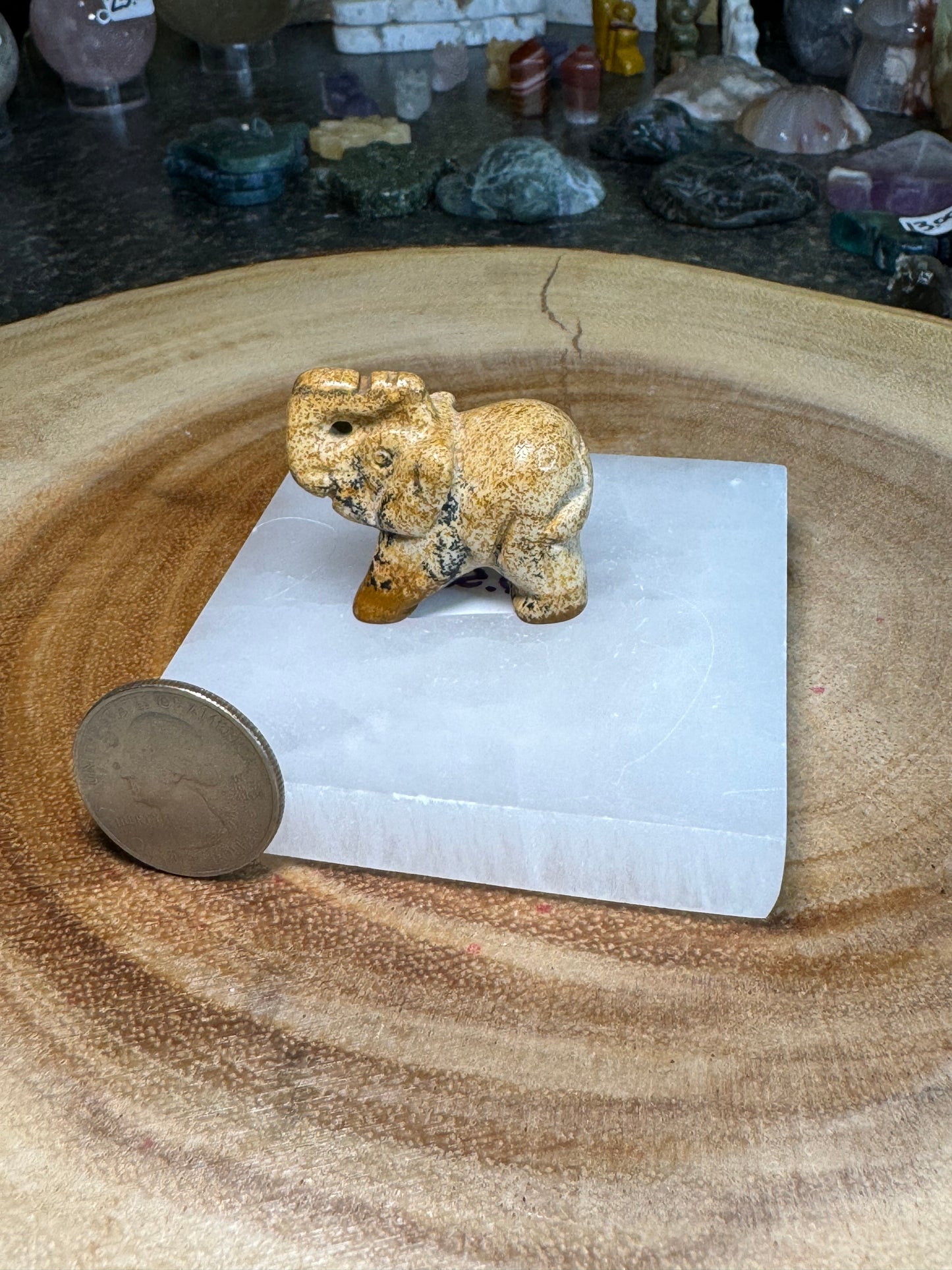 Dendritic Jasper Elephant