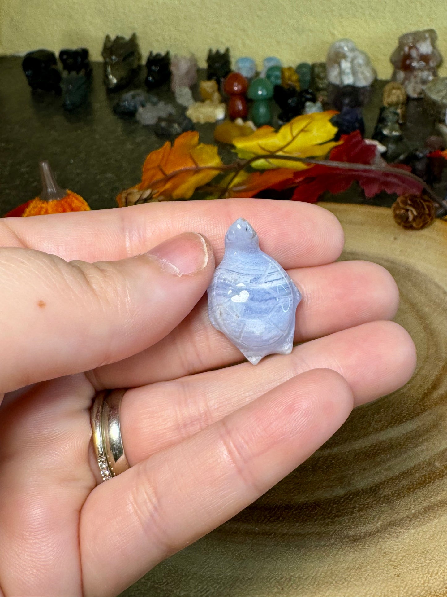 Blue Lace Agate Turtles