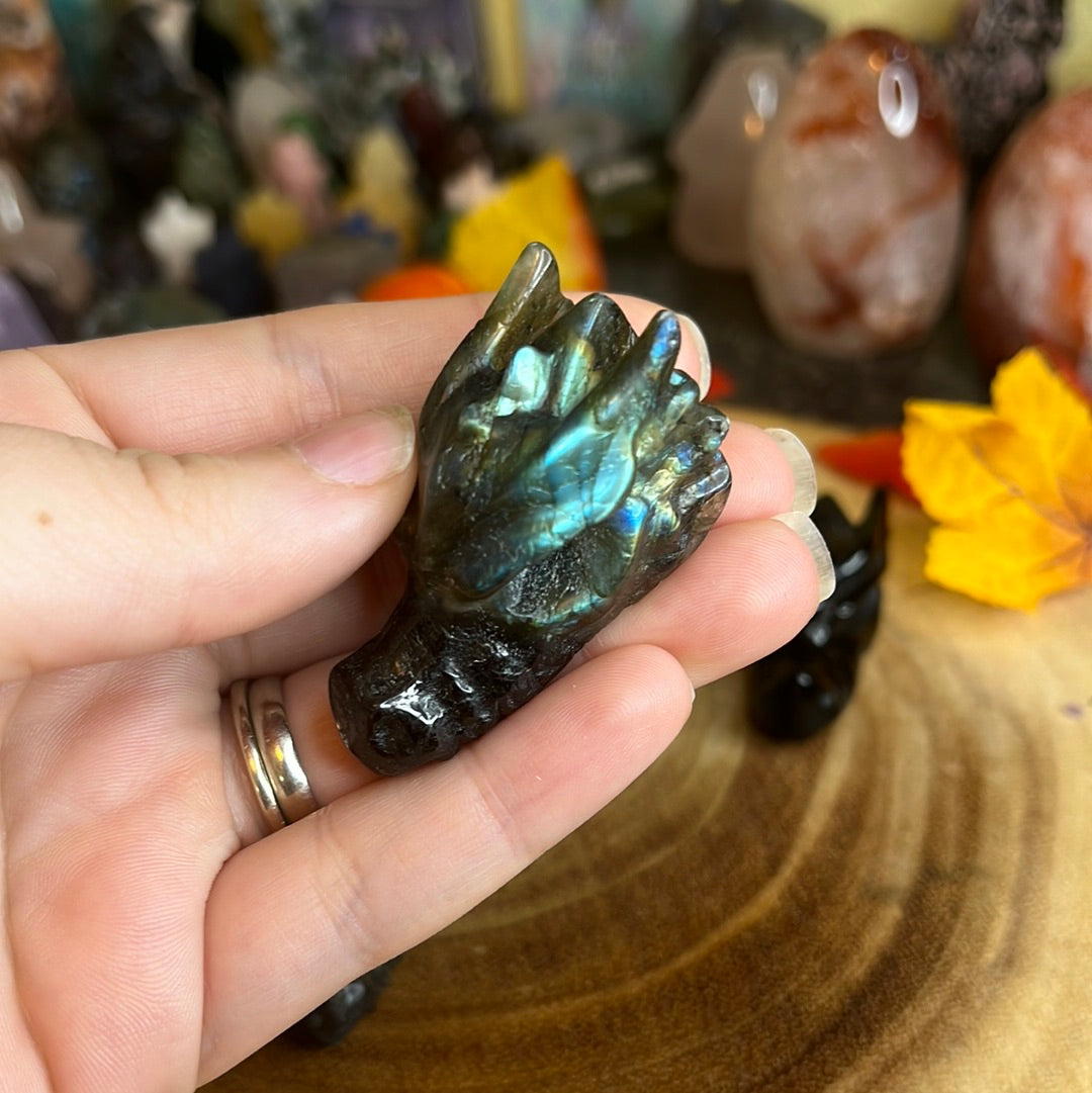 Dragon Heads