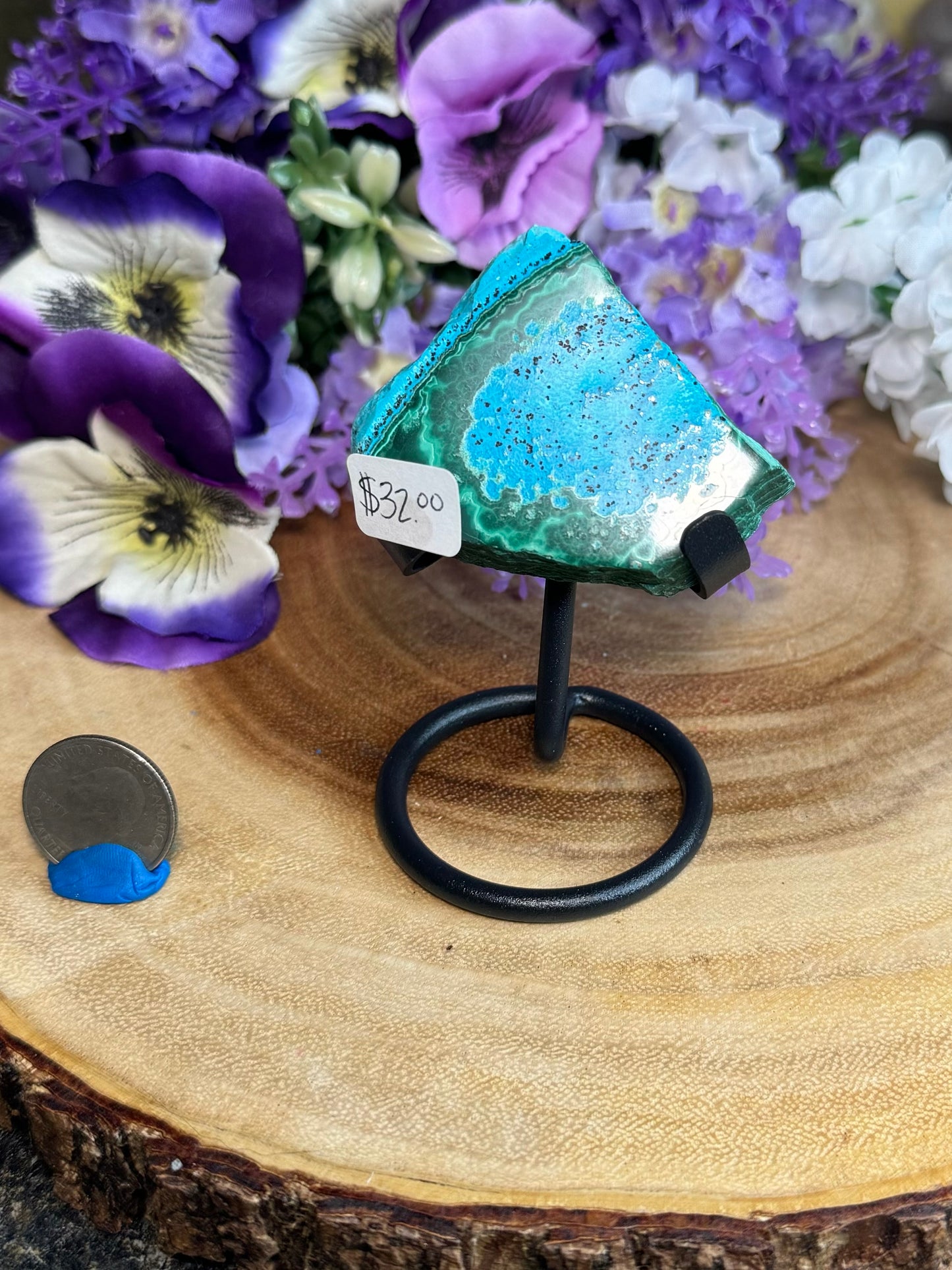 Malacholla Slabs on Stands