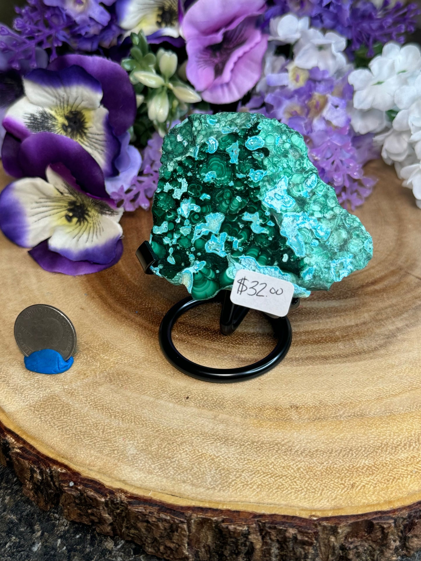 Malacholla Slabs on Stands