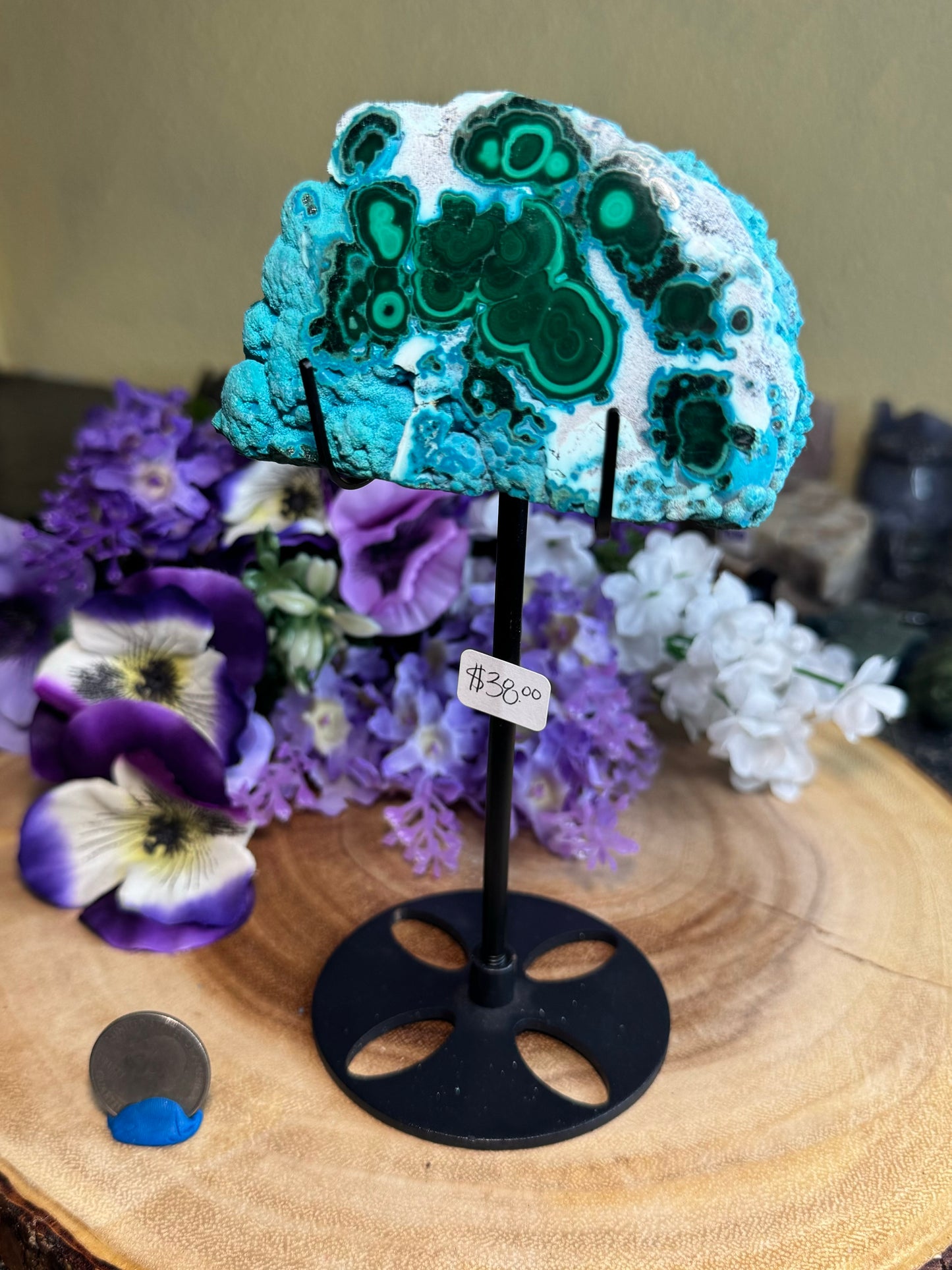 Malacholla Slabs on Stands