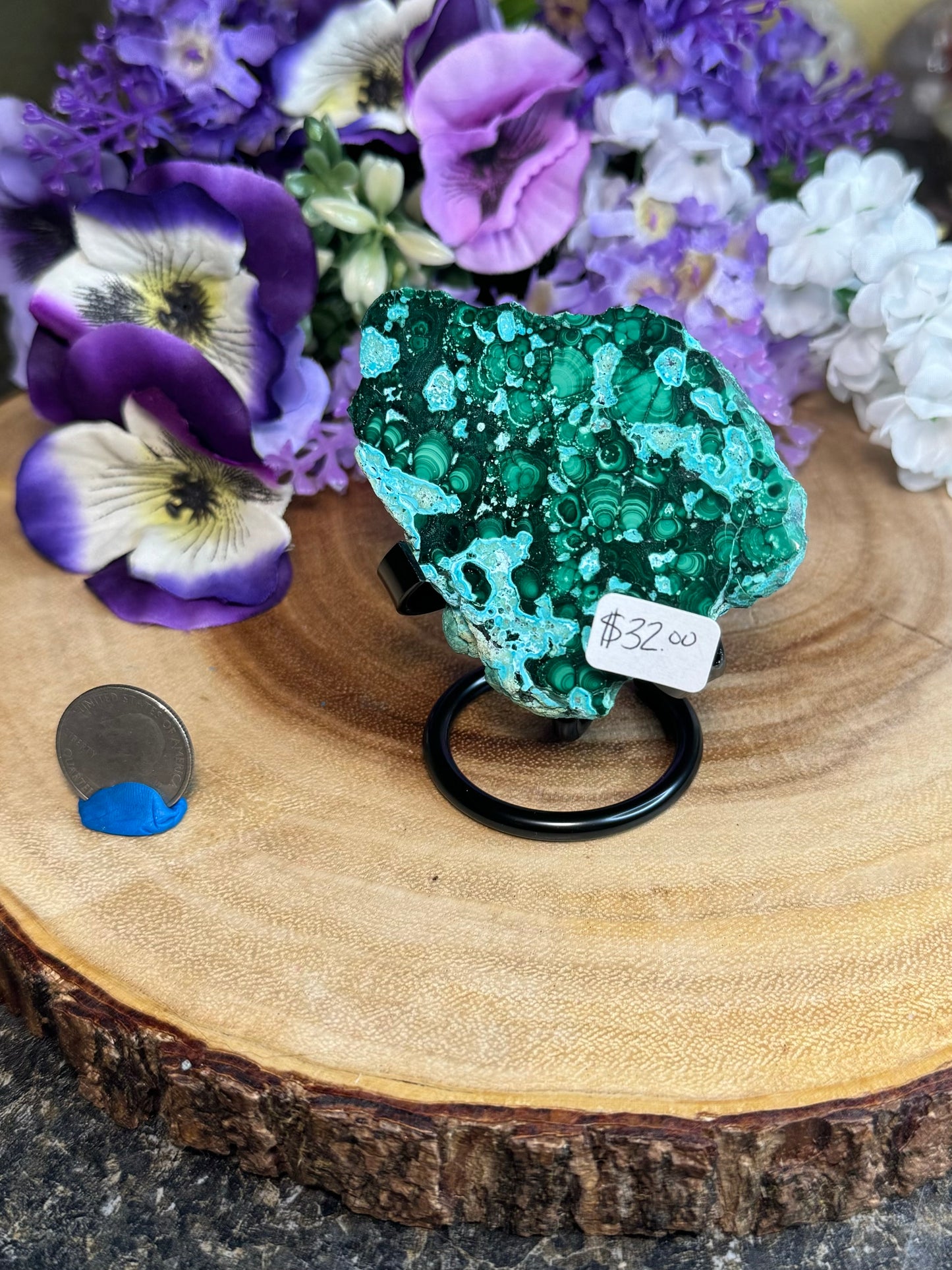 Malacholla Slabs on Stands