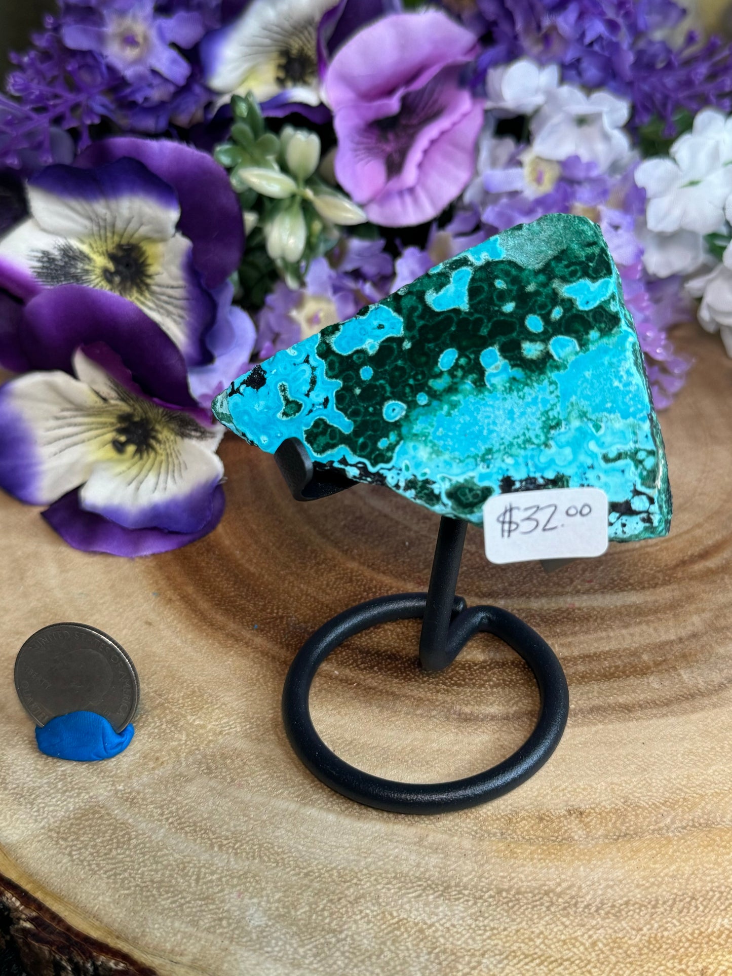 Malacholla Slabs on Stands