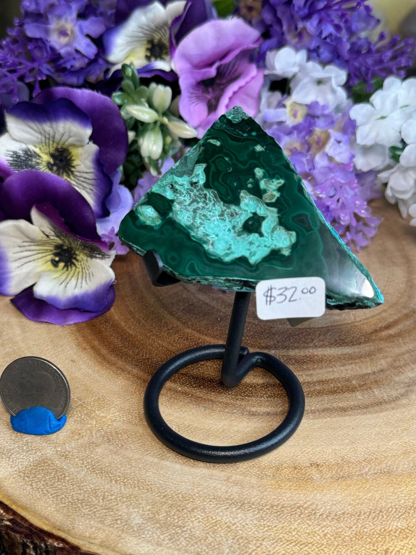 Malacholla Slabs on Stands