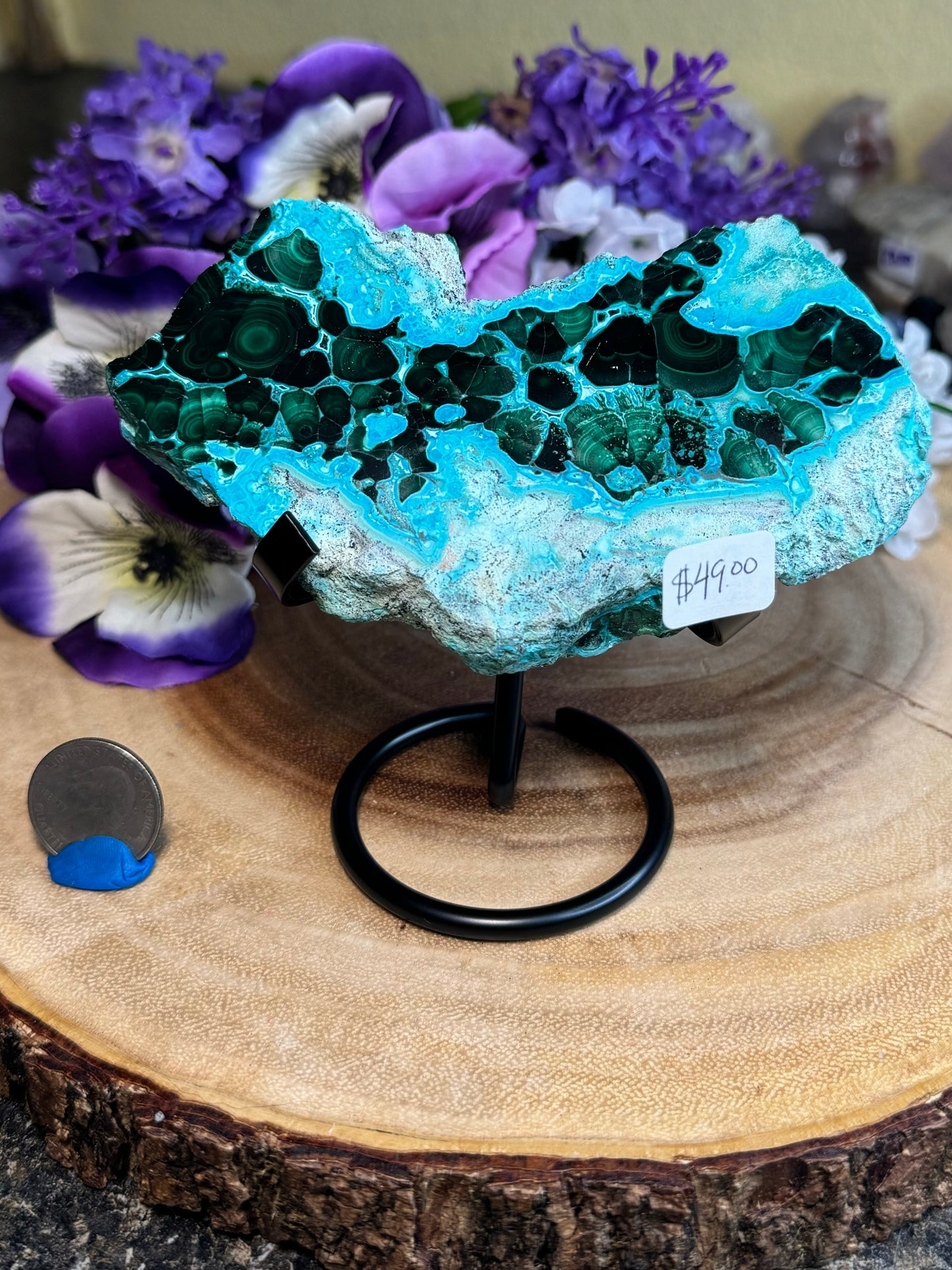 Malacholla Slabs on Stands