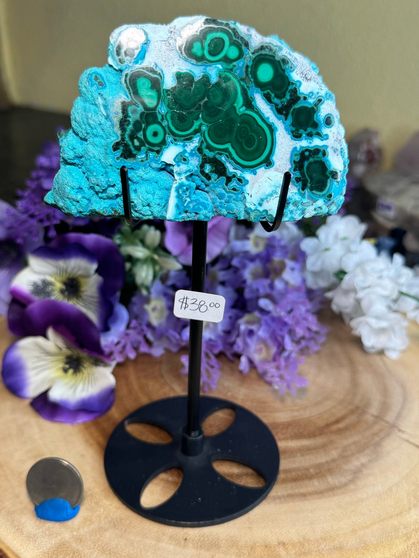 Malacholla Slabs on Stands