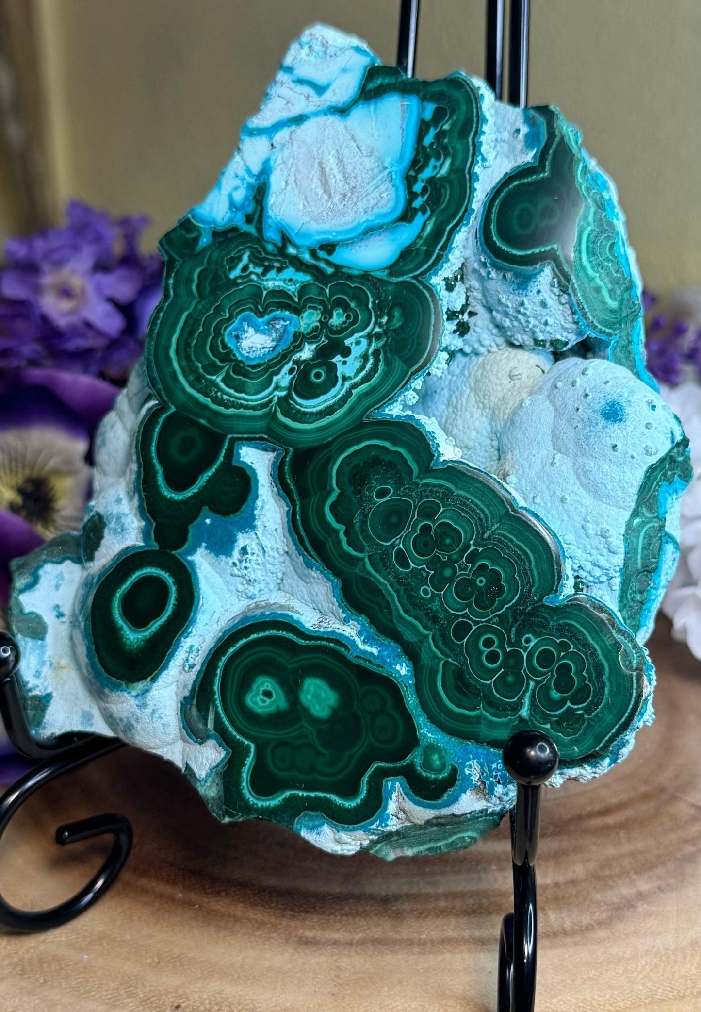 Malacholla Slabs on Stands