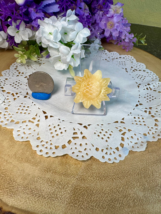 Banded Orange Calcite Sunflower