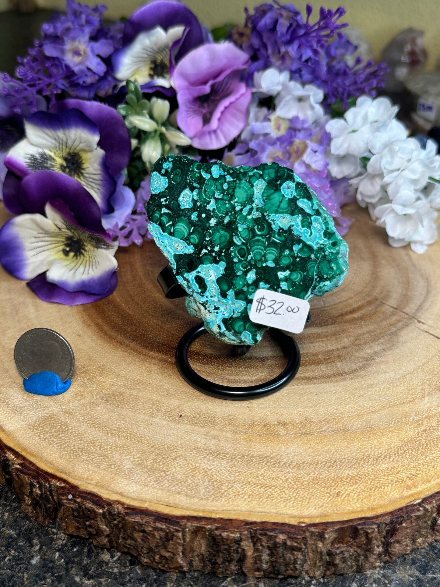 Malacholla Slabs on Stands