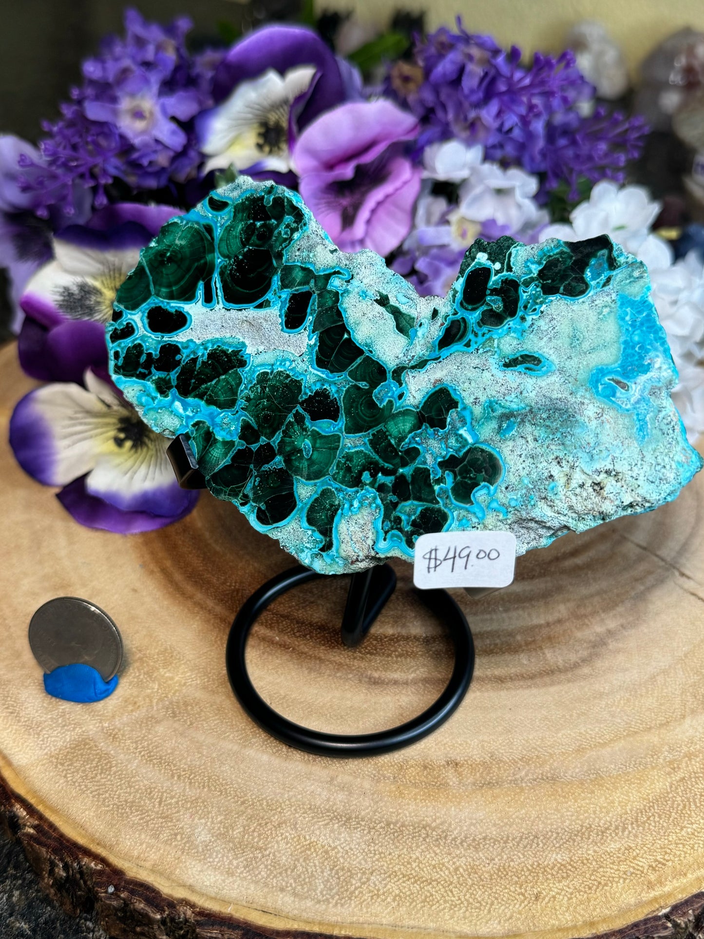 Malacholla Slabs on Stands