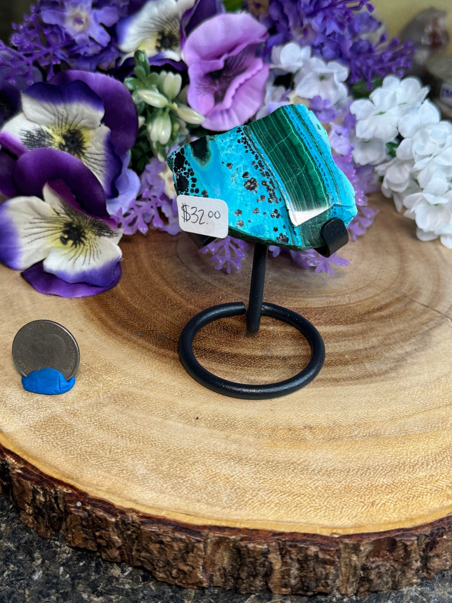 Malacholla Slabs on Stands