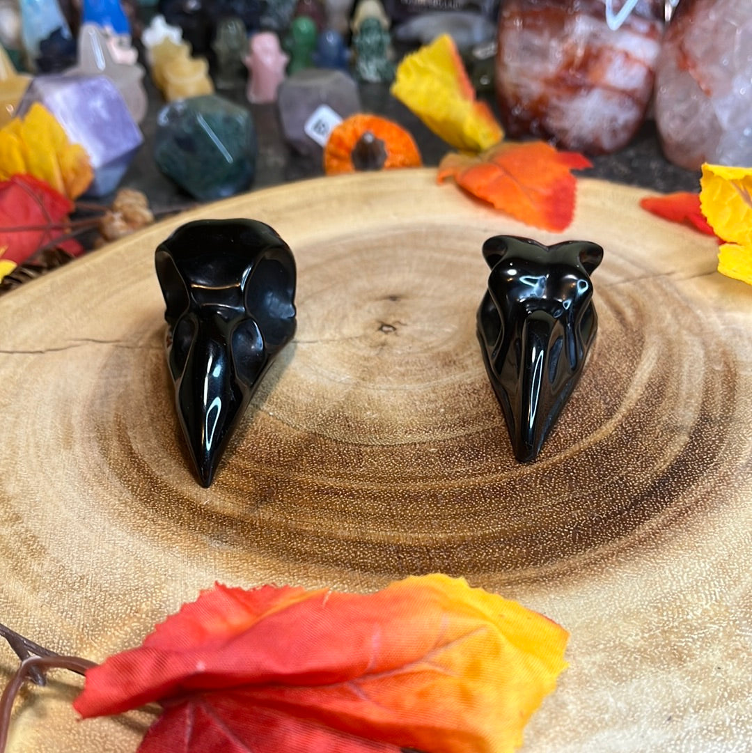 Obsidian Raven Skull