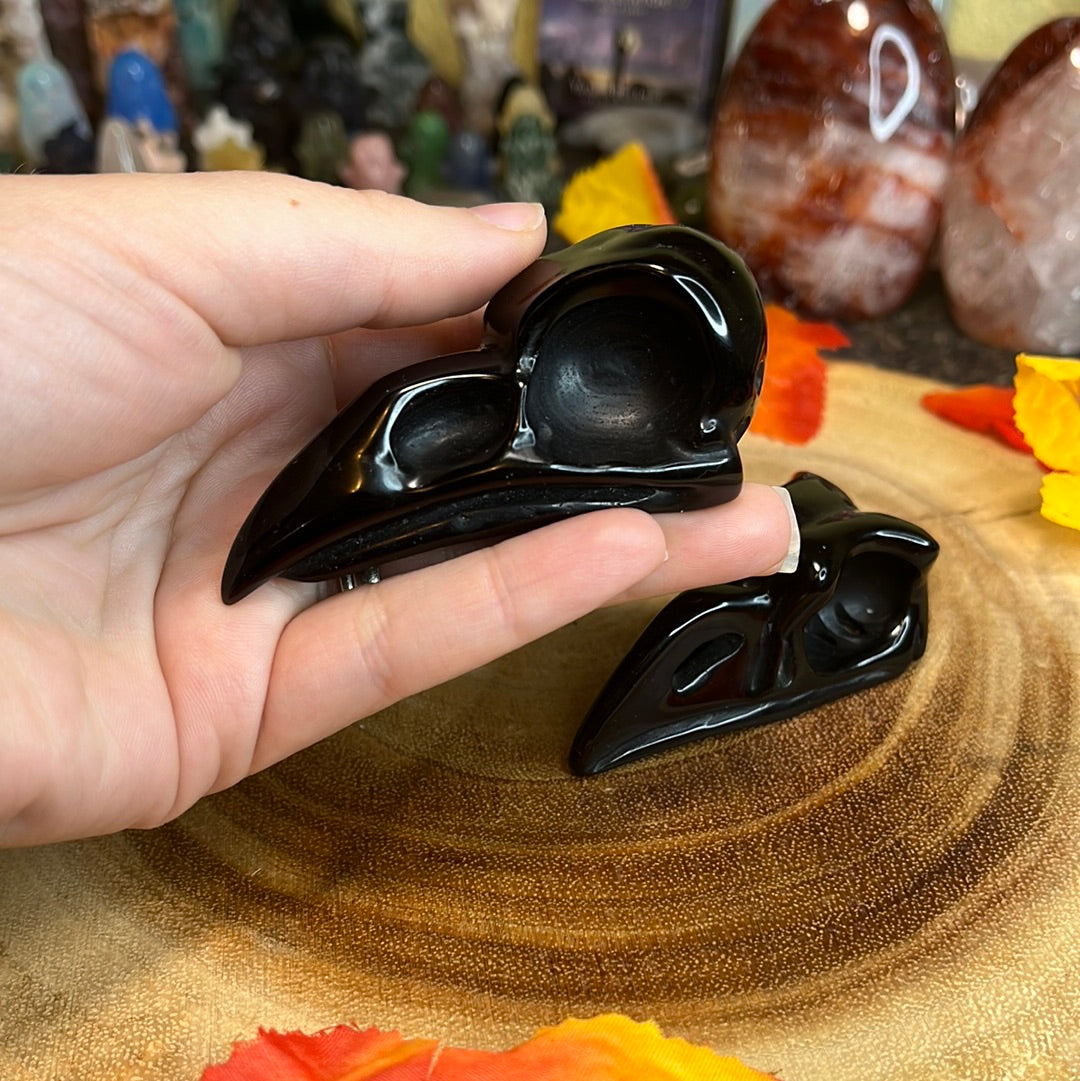 Obsidian Raven Skull