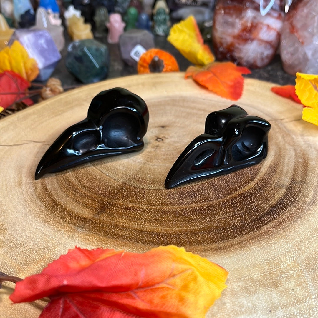 Obsidian Raven Skull