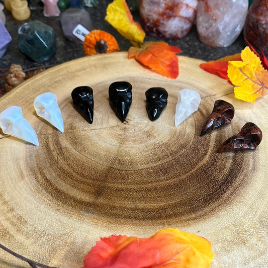 Mini Raven Skull